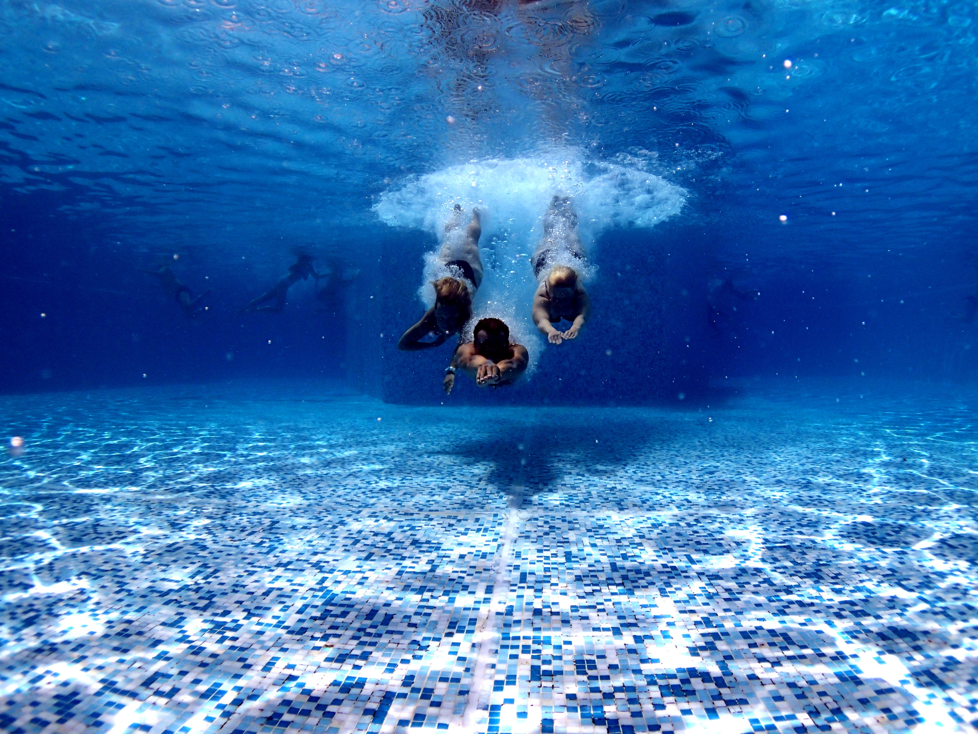 Several swimmers under water after diving into the pool