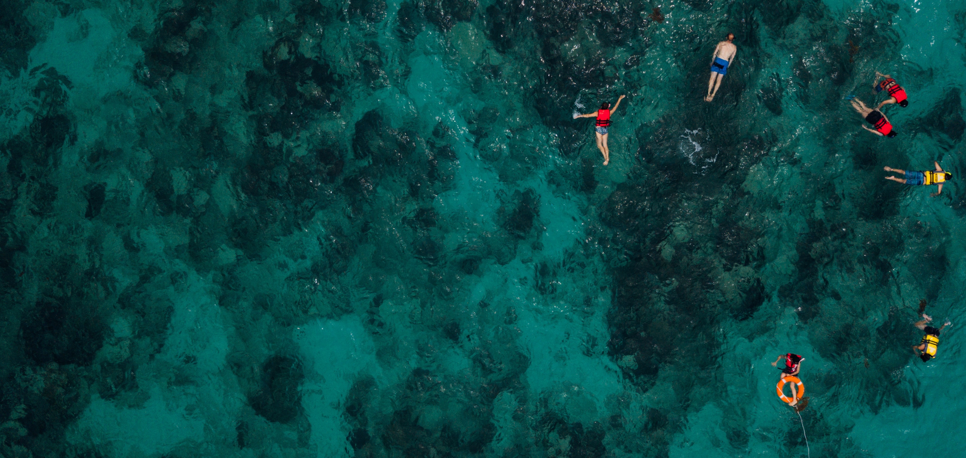 Several swimmers practiving safe swimming techniqes as seen from above